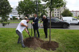 dsc_2546 copy03.jpg-Sadzenie drzewa- Aleja Kongresowa