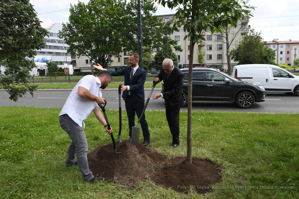 dsc_2546 copy03.jpg-Sadzenie drzewa- Aleja Kongresowa  Autor: W. Majka