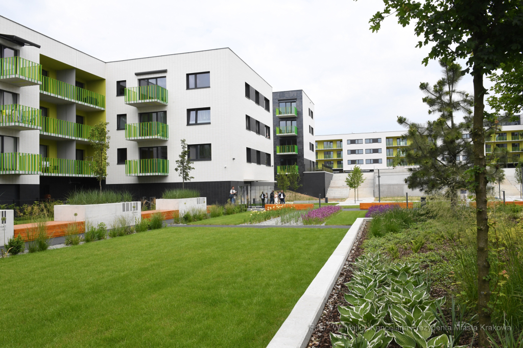 dsc_4455 copy02.jpg  Autor: W. Majka