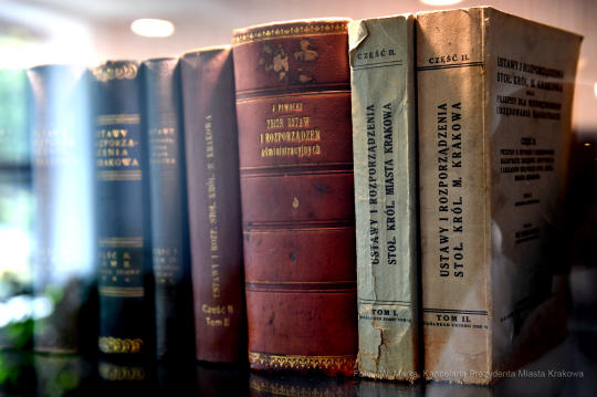 dsc_4635 copy04.jpg-Archiwum UMK