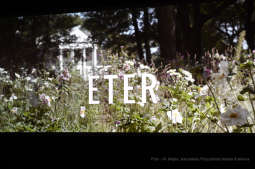 dsc_7111 copy18.jpg-Zanussi