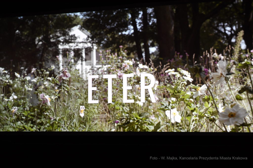 dsc_7111 copy18.jpg-Zanussi  Autor: W. Majka