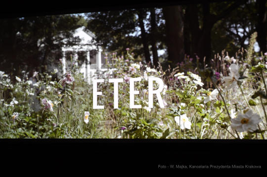 dsc_7111 copy18.jpg-Zanussi