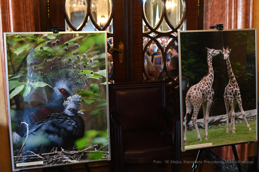 dsc_7682 copy12.jpg-ZOO  Autor: W. Majka