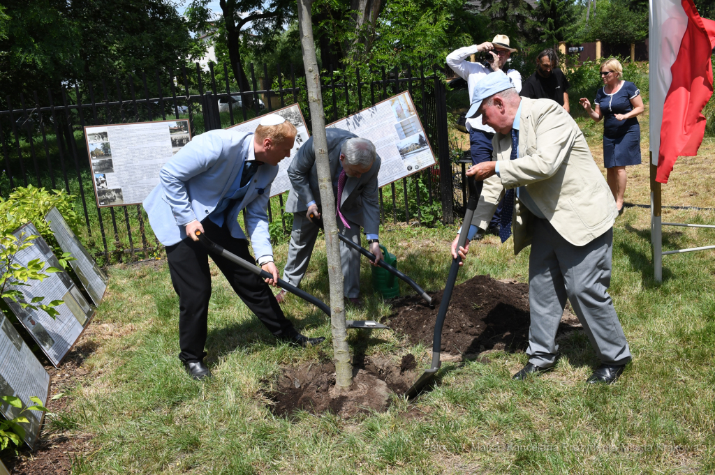 dsc_7349 copy10.jpg-Synagogi w Swoszowicach  Autor: W. Majka