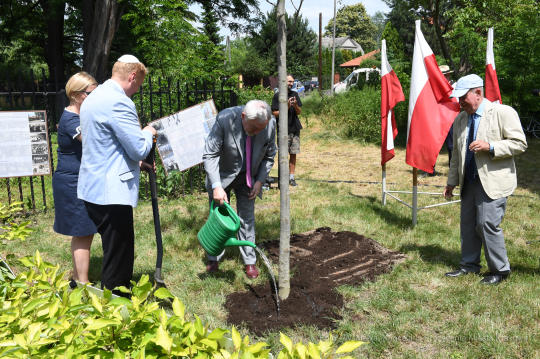 dsc_7367 copy11.jpg-Synagogi w Swoszowicach