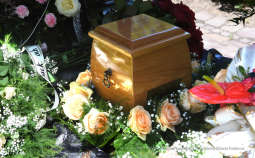 dsc_0599 copy02.jpg-Zofia Żelazny