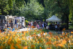 bs_190728_9002.jpg-piknik krakowski,Norymberga,potańcówka