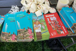 bs_190728_9028.jpg-piknik krakowski,Norymberga,potańcówka