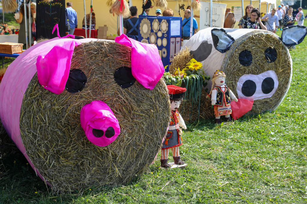 bs_190825_5896.jpg-Dożynki 2019,Błonia,kulig  Autor: B. Świerzowski