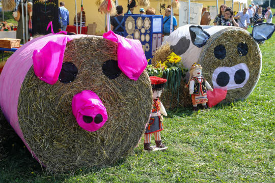 bs_190825_5896.jpg-Dożynki 2019,Błonia,kulig