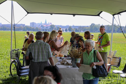 bs_190825_5907.jpg-Dożynki 2019,Błonia,kulig