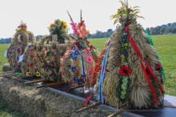 bs_190825_5910.jpg-Dożynki 2019,Błonia,kulig