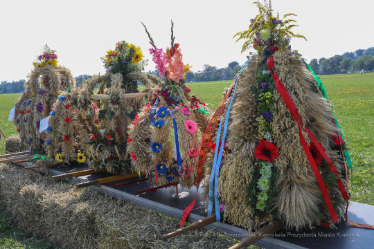 bs_190825_5910.jpg-Dożynki 2019,Błonia,kulig