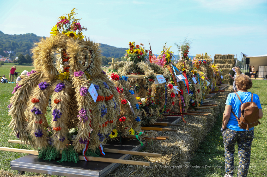 bs_190825_5966.jpg-Dożynki 2019,Błonia,kulig  Autor: B. Świerzowski