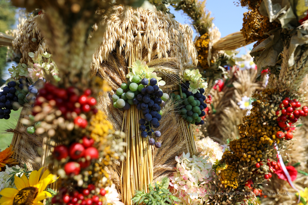 bs_190825_5990.jpg-Dożynki 2019,Błonia,kulig  Autor: B. Świerzowski