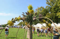 bs_190825_6021.jpg-Dożynki 2019,Błonia,kulig