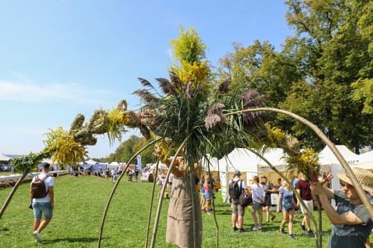 bs_190825_6021.jpg-Dożynki 2019,Błonia,kulig