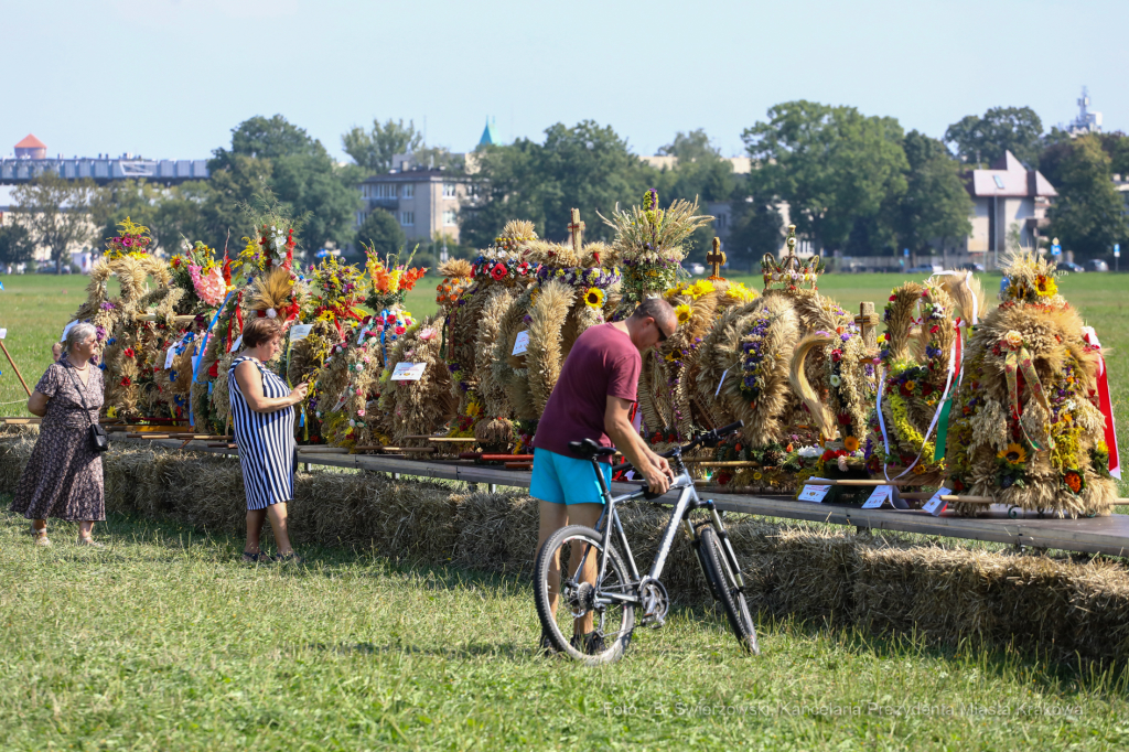 bs_190825_6145.jpg-Dożynki 2019,Błonia,kulig  Autor: B. Świerzowski