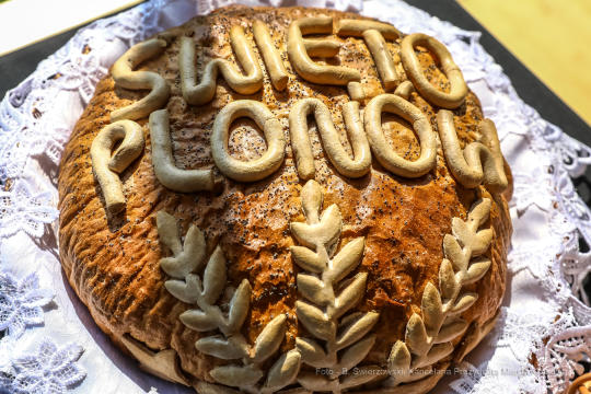 bs_190825_6176.jpg-Dożynki 2019,Błonia,kulig