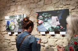 dsc_539625.jpg-wystawa Rafaela Herlicha