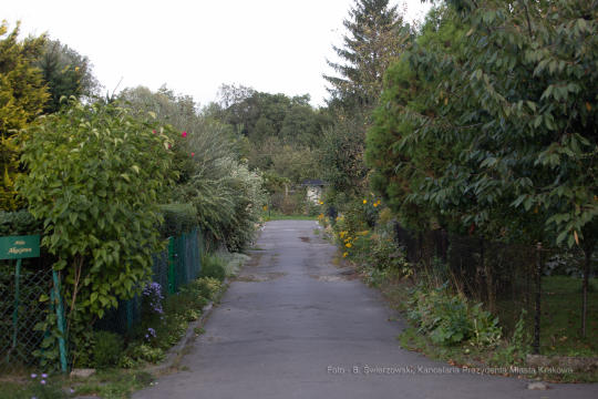 bs-września 14, 2019-img_1582.jpg-Tulipan,Działki,Majchrowski