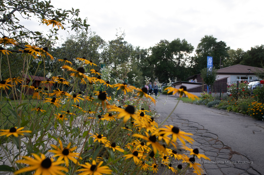 bs-września 14, 2019-img_1584.jpg-Tulipan,Działki,Majchrowski  Autor: B. Świerzowski