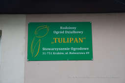 bs-września 14, 2019-img_1593.jpg-Tulipan,Działki,Majchrowski