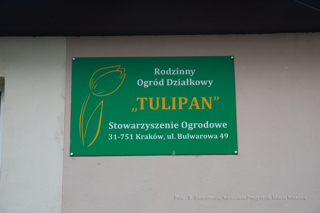bs-września 14, 2019-img_1593.jpg-Tulipan,Działki,Majchrowski  Autor: B. Świerzowski