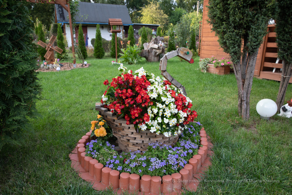 bs-września 14, 2019-img_1599.jpg-Tulipan,Działki,Majchrowski  Autor: B. Świerzowski