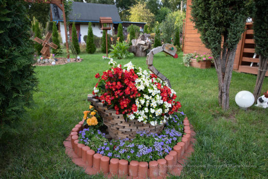 bs-września 14, 2019-img_1599.jpg-Tulipan,Działki,Majchrowski