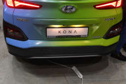 dsc_9620 — kopia16.jpg-Wielkiej Lekcji Ekologii