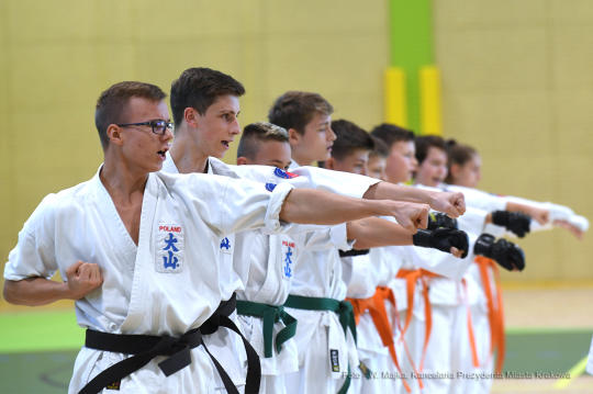 dsc_282615.jpg-sali gimnastycznej