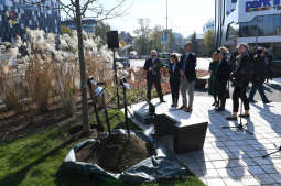 dsc_374202.jpg-Posadzenie drzewa