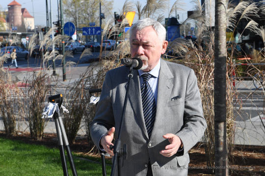 dsc_3766 — kopia05.jpg-Posadzenie drzewa