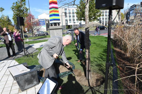 dsc_3812 — kopia11.jpg-Posadzenie drzewa