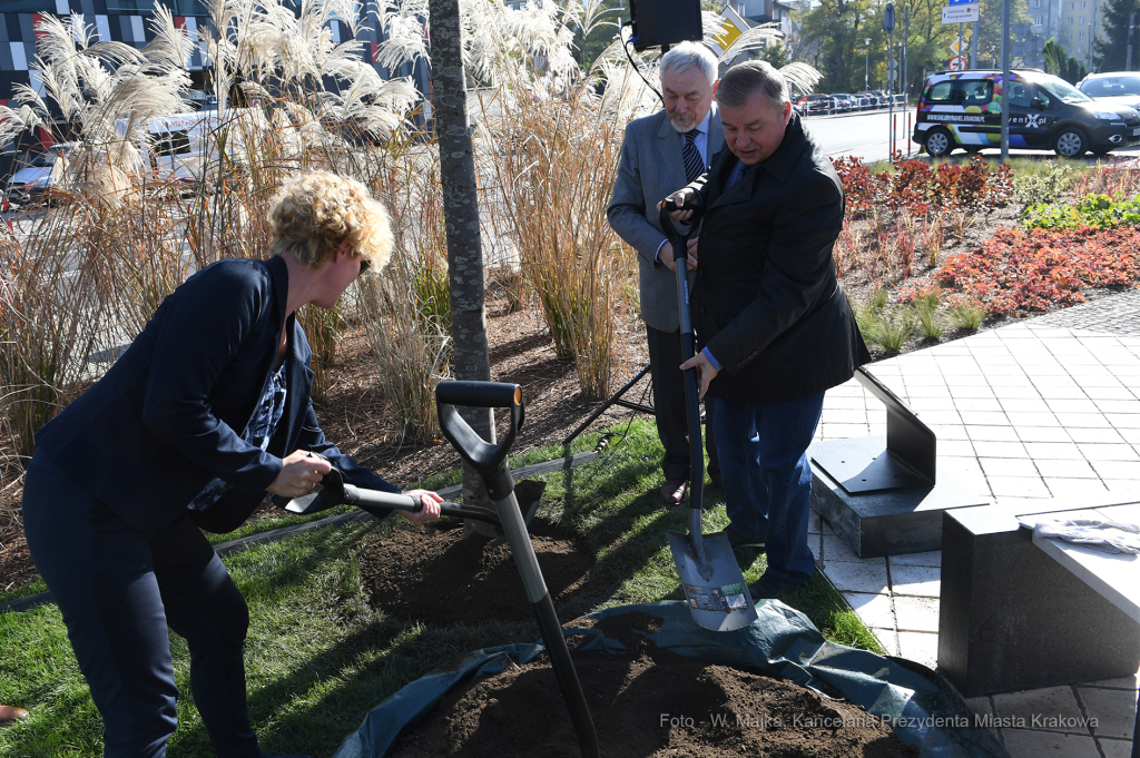 dsc_3829 — kopia12.jpg-Posadzenie drzewa  Autor: W. Majka