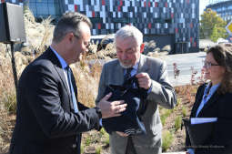 dsc_3848 — kopia15.jpg-Posadzenie drzewa