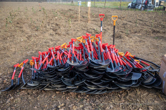 bs_191029_3643.jpg-Tokarczuk,Nobel,Las,Majchrowski