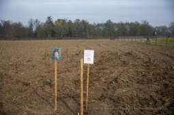 bs_191029_3647.jpg-Tokarczuk,Nobel,Las,Majchrowski