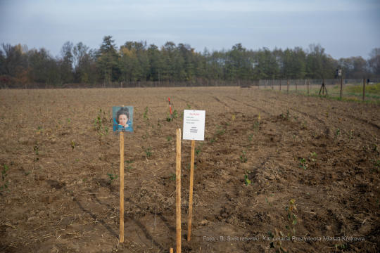 bs_191029_3647.jpg-Tokarczuk,Nobel,Las,Majchrowski