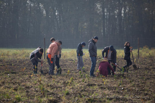 bs_191029_3763.jpg-Tokarczuk,Nobel,Las,Majchrowski