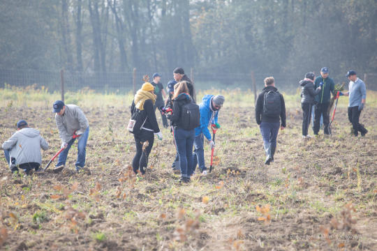 bs_191029_3931.jpg-Tokarczuk,Nobel,Las,Majchrowski