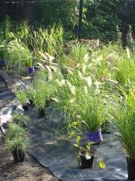 20190827_085712.jpg-Budowa Alei Złotych Serc na ostatniej prostej!