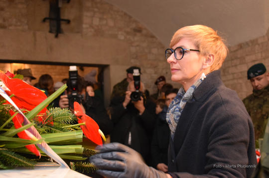 dsc_0223 kopia — kopia.jpg-Marszałek Piłsudski