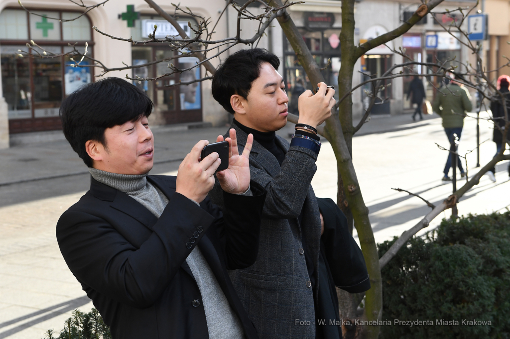 dsc_0809 kopia06.jpg-OWHC  Autor: W. Majka