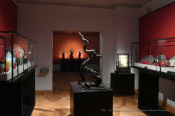 dsc_2743 kopia47.jpg-muzeum Czertoryskich