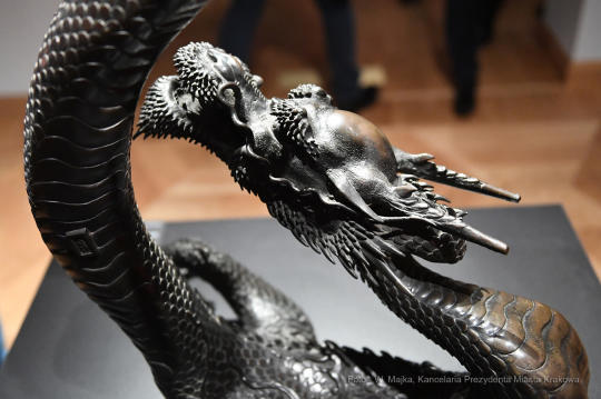 dsc_2748 kopia48.jpg-muzeum Czertoryskich