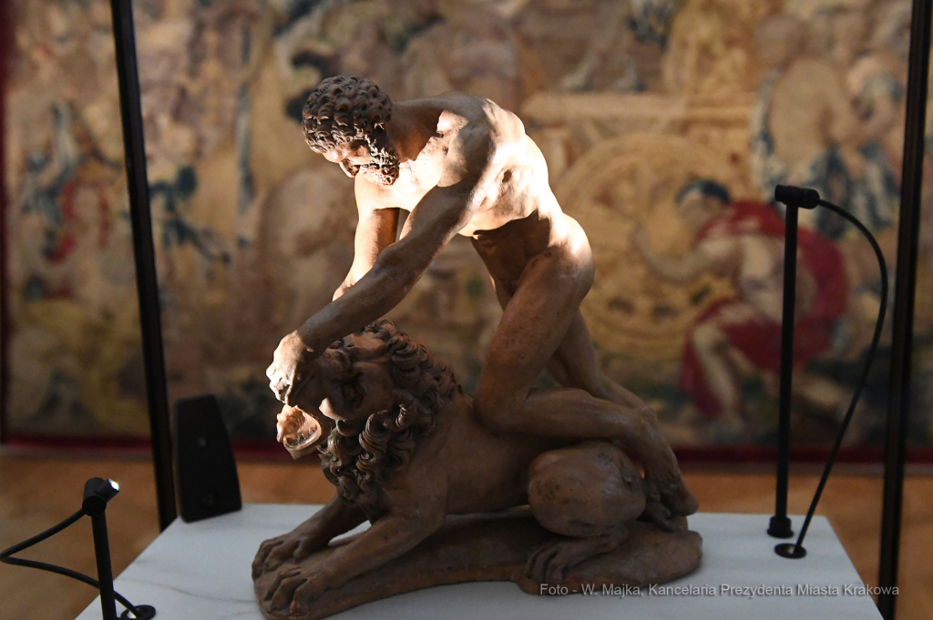 dsc_2763 kopia49.jpg-muzeum Czertoryskich 