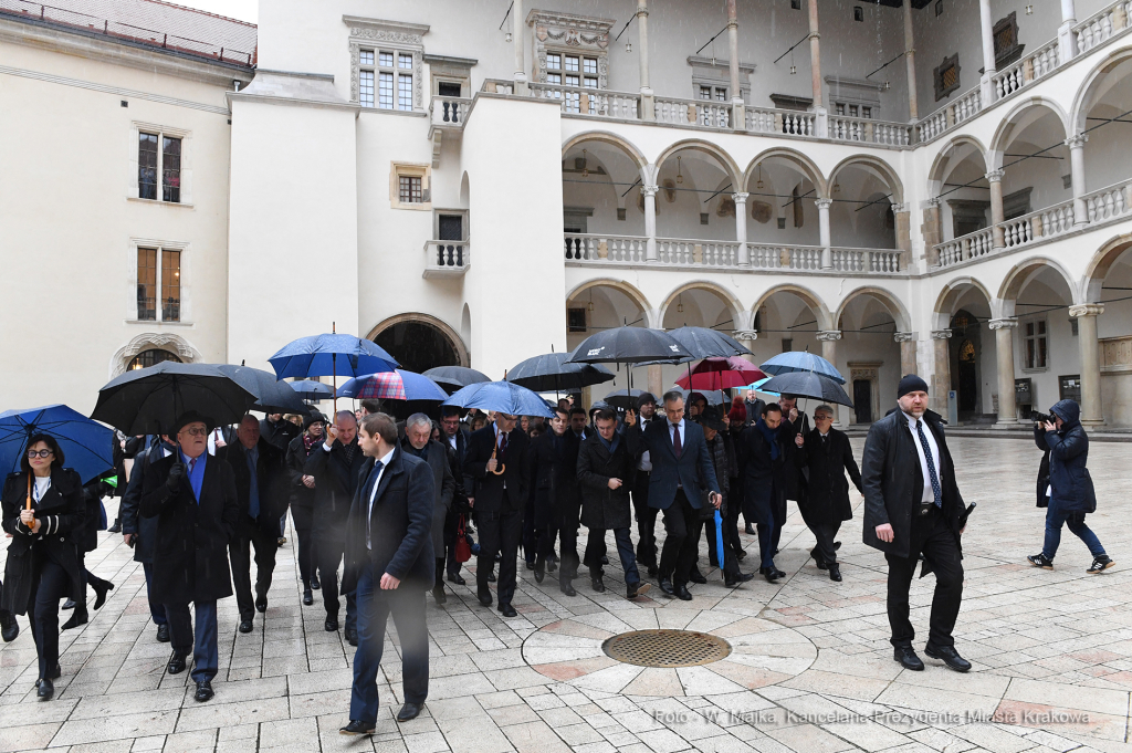 1111.jpg-Emmanuela Macrona  Autor: W. Majka